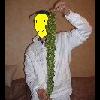 dr-hanibal