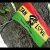 Jah_children