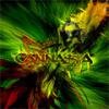 Canna-ta