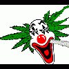 flouflou