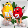 nmesis