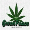 skunk_11