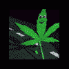 skunky_shiva