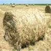 fOin_fOin