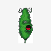 Spaulding