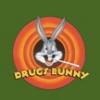 NicoSkunk