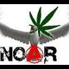 NoarDesir