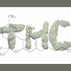 Nice2WeedU