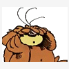 rufus33