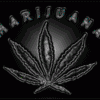cannabis83