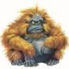 petitgnome