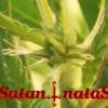 satannatas