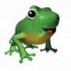 harry-frog