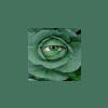 mickygreen