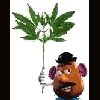 PedroBill
