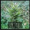 BIGWEEDS