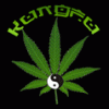 KungFu