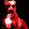 RedDog