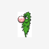 patric_the_grow