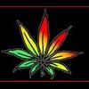MasterKush17
