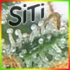 SiTiBITiWi
