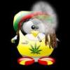 crazyseeder