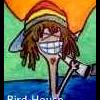 Bird-House