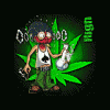 dr.greenweed