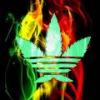 Danzéré-WeedSmockaz