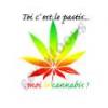 thcbox.fr