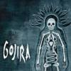 Gojira