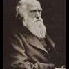#DARWIN#