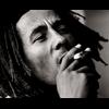 D_Smoke_Weed