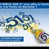 jaunisse51