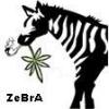 ZebraSativa