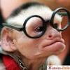 Adriendu28