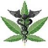 Dr_Weeds