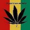 Scorpion-Weed