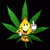 electrobeuh