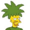 barberousse
