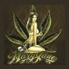 Ivory420
