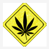 cannaclean
