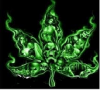 CannaBox