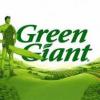 GÉANT VERT
