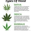 call of the weed