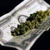 pineapple-express7