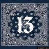 Sur13