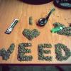 AsteroWeed3