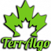 Terralgo