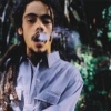 I Man Cannabis